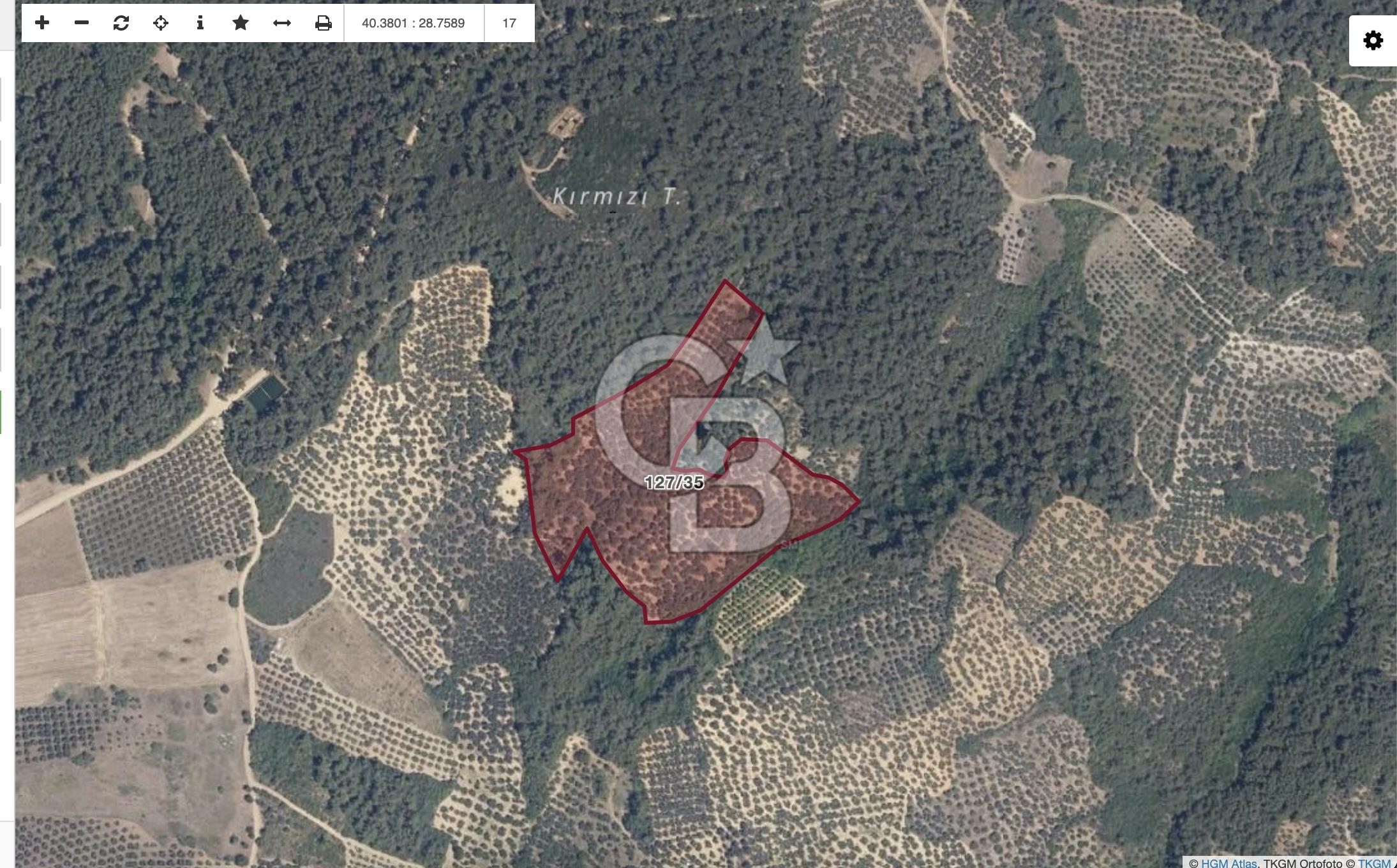 MUDANYA HALİLBEY MAHALLESİ SATILIK 25 DÖNÜM ARAZİ