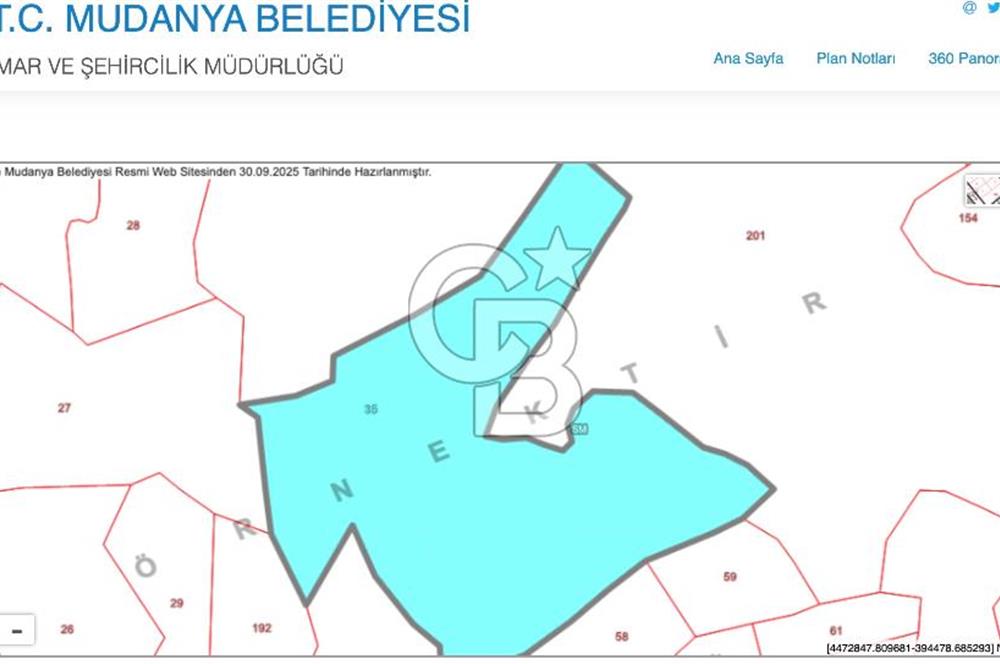 MUDANYA HALİLBEY MAHALLESİ SATILIK 25 DÖNÜM ARAZİ