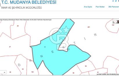 MUDANYA HALİLBEY MAHALLESİ SATILIK 25 DÖNÜM ARAZİ
