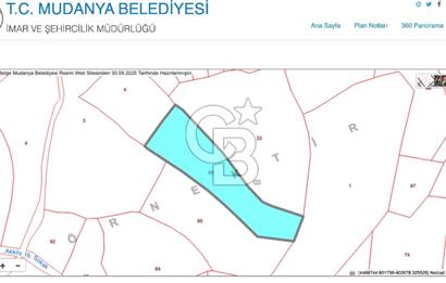 MUDANYA AKKÖY 7 DÖNÜM SATILIK ARAZİ