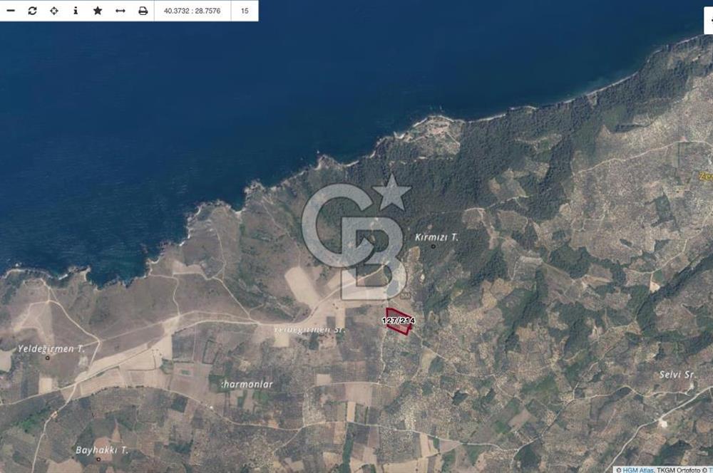 MUDANYA HALİLBEY MAHALLESİ SATILIK 11.150 M2 ARAZİ