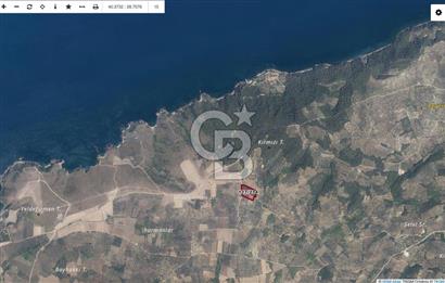 MUDANYA HALİLBEY MAHALLESİ SATILIK 11.150 M2 ARAZİ
