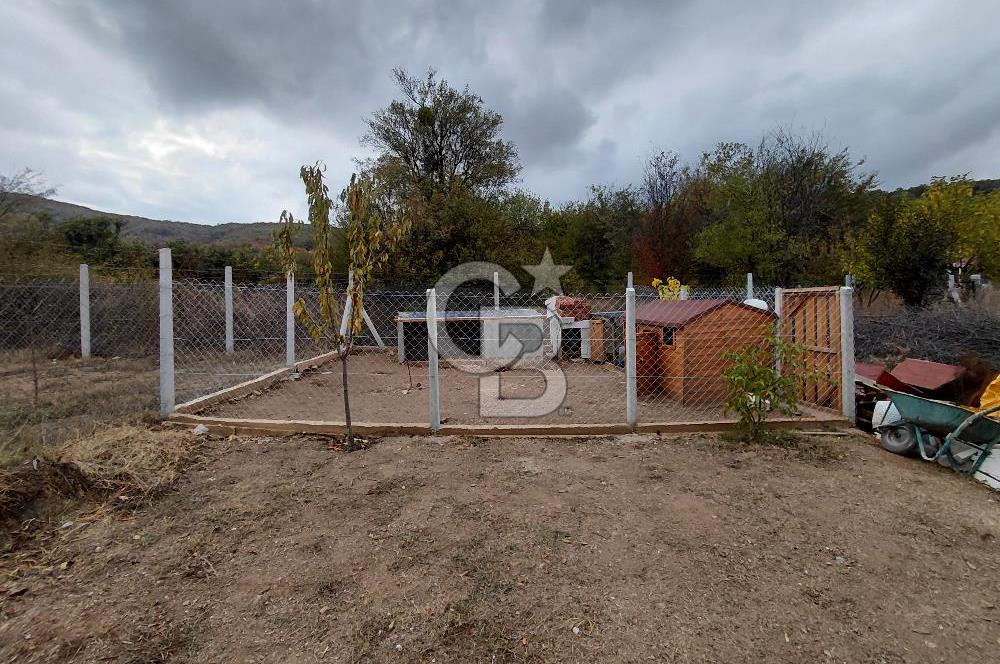 CB ELEGANCE' DEN PAZARYERİ KARAKÖYDE ASFALT CEPHELİ HOBİ BAHÇESİ 