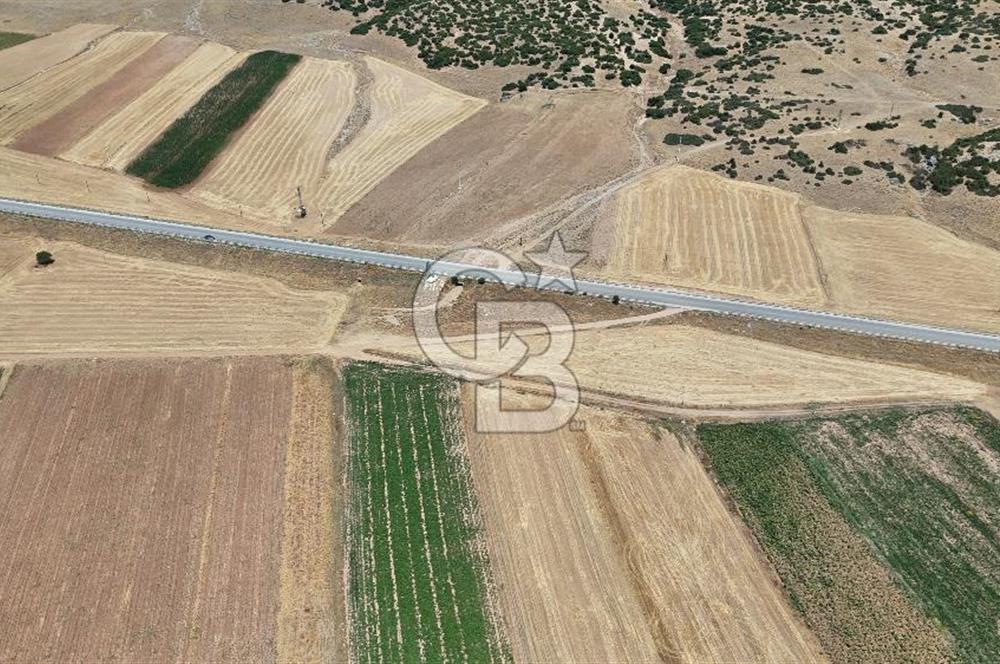 Dinar Yaka Köyü Yatırıma Uygun Satılık Tarla 8109 m²