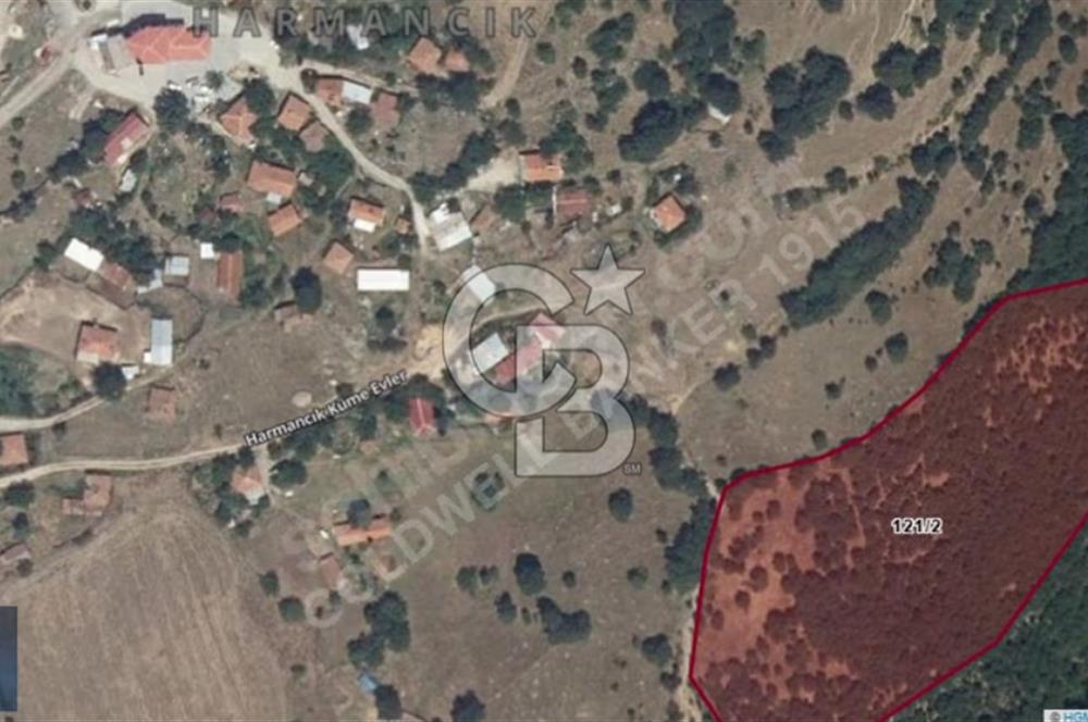 ÇANAKKALE LAPSEKİ HARMANCIK 12.662 M2 SATILIK TARLA