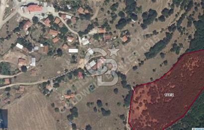 ÇANAKKALE LAPSEKİ HARMANCIK 12.662 M2 SATILIK TARLA