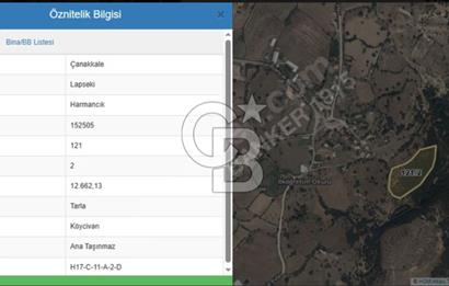 ÇANAKKALE LAPSEKİ HARMANCIK 12.662 M2 SATILIK TARLA