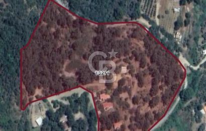 İzmir Kemalpaşa ilçesinde satılık imarlı arsa