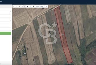 TEKİRDAĞ SARAY KURTDERE'DE EMSALSİZ 302 METREKARELİK TARLA