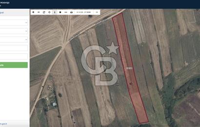 TEKİRDAĞ SARAY KURTDERE'DE EMSALSİZ 302 METREKARELİK TARLA
