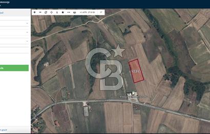 TEKİRDAĞ SARAY KURTDERE'DE EMSALSİZ 277 METREKARELİK TARLA