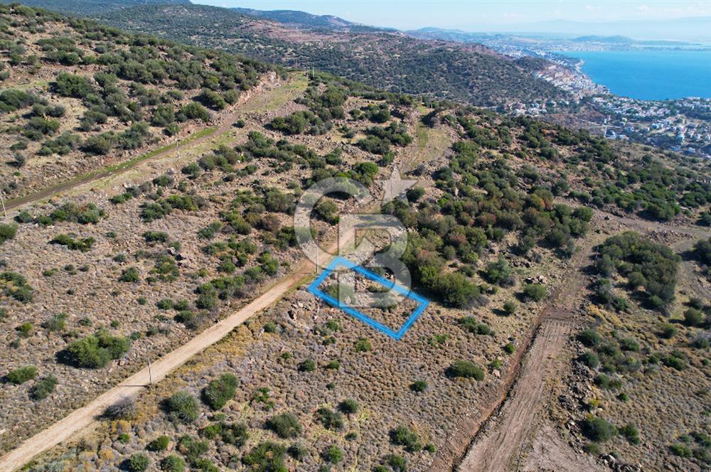 ÇANDARLI EYKO 1/2 HİSSE YATIRIMA UYGUN SATILIK ARSA