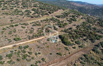 ÇANDARLI EYKO 1/2 HİSSE YATIRIMA UYGUN SATILIK ARSA