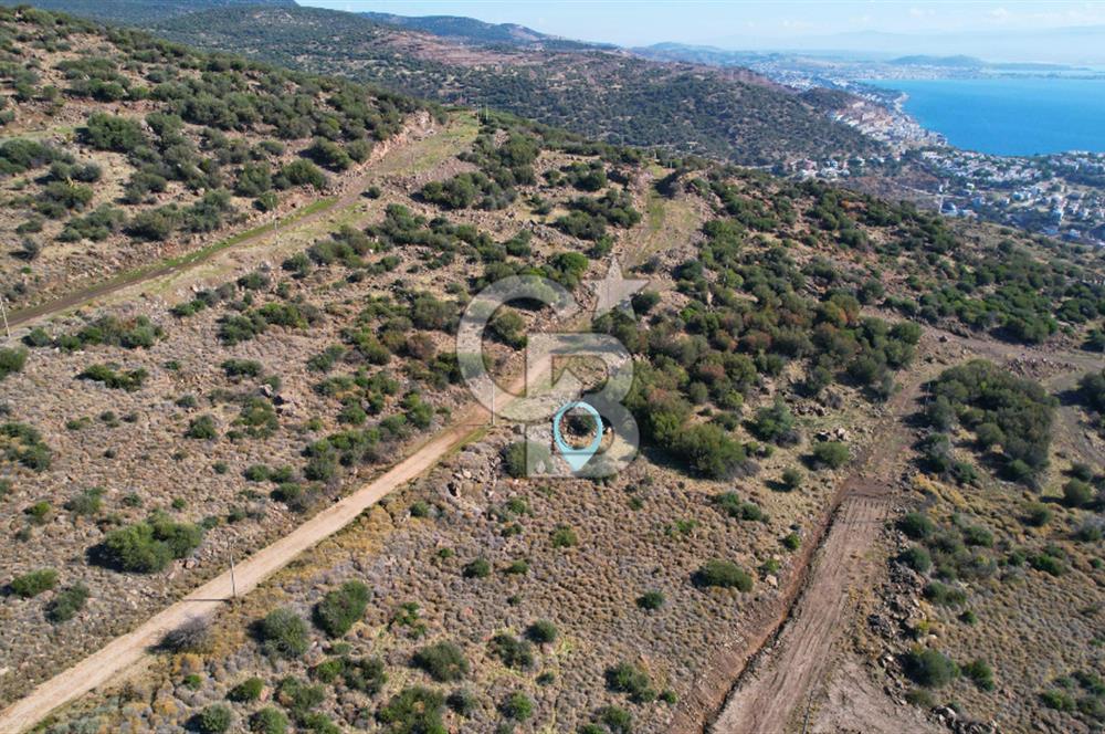 ÇANDARLI EYKO 1/2 HİSSE YATIRIMA UYGUN SATILIK ARSA