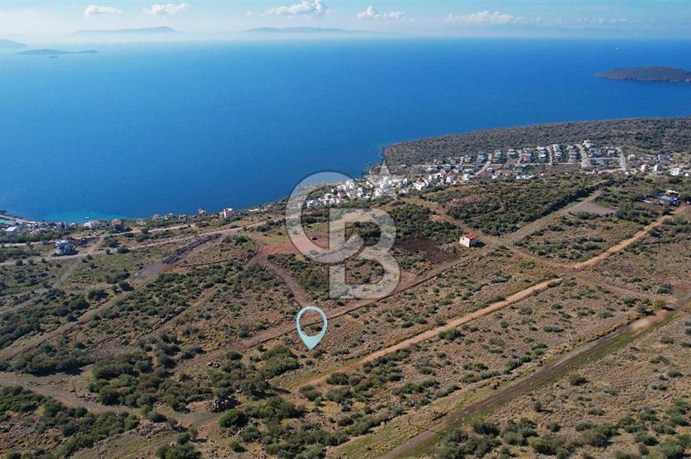 ÇANDARLI EYKO 1/2 HİSSE YATIRIMA UYGUN SATILIK ARSA