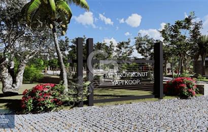 ÇANAKKALE AYVACIK MİSVAK KÖYÜ SATILIK 300 M2 KOOPERATİF HİSSESİ