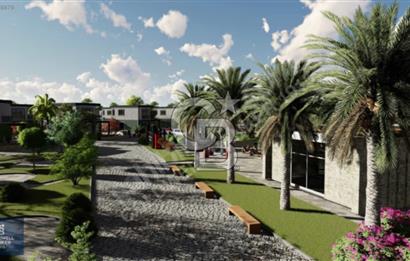 ÇANAKKALE AYVACIK MİSVAK KÖYÜ SATILIK 300 M2 KOOPERATİF HİSSESİ