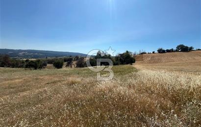 ÇANAKKALE MERKEZ AŞAĞIOKÇULAR'DA SATILIK 7650 M2 MÜSTAKİL ARAZİ
