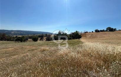 ÇANAKKALE MERKEZ AŞAĞIOKÇULAR'DA SATILIK 7650 M2 MÜSTAKİL ARAZİ