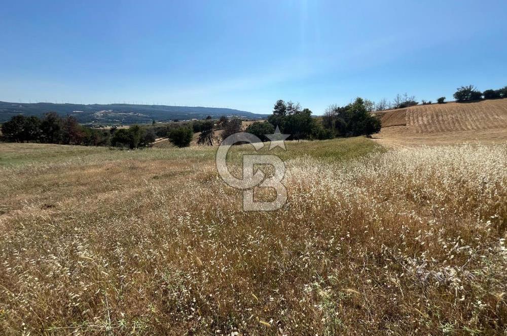 ÇANAKKALE MERKEZ AŞAĞIOKÇULAR'DA SATILIK 7650 M2 MÜSTAKİL ARAZİ