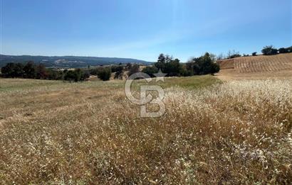 ÇANAKKALE MERKEZ AŞAĞIOKÇULAR'DA SATILIK 7650 M2 MÜSTAKİL ARAZİ