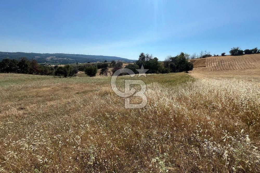 ÇANAKKALE MERKEZ AŞAĞIOKÇULAR'DA SATILIK 7650 M2 MÜSTAKİL ARAZİ