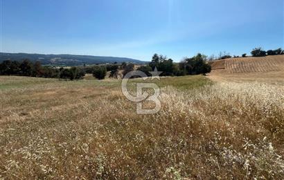 ÇANAKKALE MERKEZ AŞAĞIOKÇULAR'DA SATILIK 7650 M2 MÜSTAKİL ARAZİ