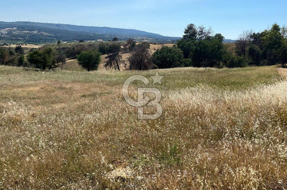 ÇANAKKALE MERKEZ AŞAĞIOKÇULAR'DA SATILIK 7650 M2 MÜSTAKİL ARAZİ
