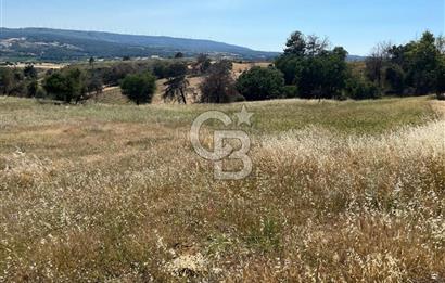 ÇANAKKALE MERKEZ AŞAĞIOKÇULAR'DA SATILIK 7650 M2 MÜSTAKİL ARAZİ