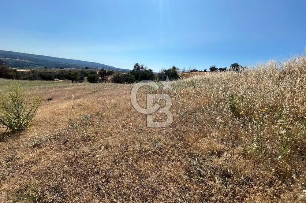 ÇANAKKALE MERKEZ AŞAĞIOKÇULAR'DA SATILIK 7650 M2 MÜSTAKİL ARAZİ