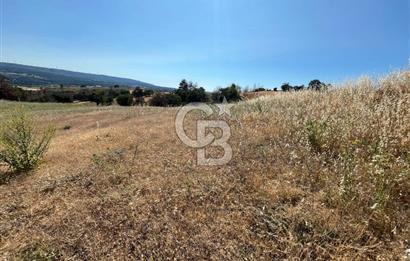 ÇANAKKALE MERKEZ AŞAĞIOKÇULAR'DA SATILIK 7650 M2 MÜSTAKİL ARAZİ