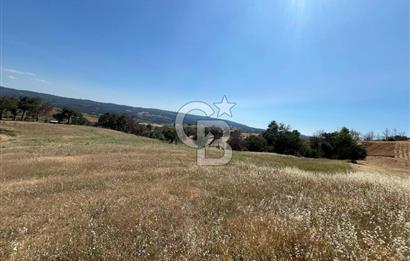 ÇANAKKALE MERKEZ AŞAĞIOKÇULAR'DA SATILIK 7650 M2 MÜSTAKİL ARAZİ