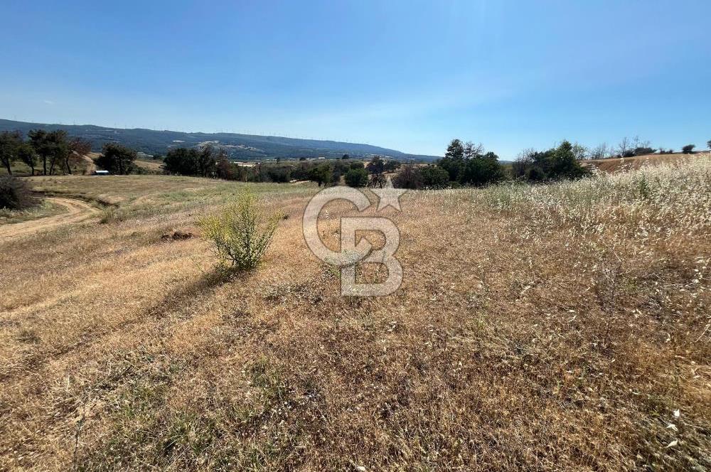 ÇANAKKALE MERKEZ AŞAĞIOKÇULAR'DA SATILIK 7650 M2 MÜSTAKİL ARAZİ