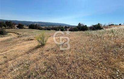 ÇANAKKALE MERKEZ AŞAĞIOKÇULAR'DA SATILIK 7650 M2 MÜSTAKİL ARAZİ
