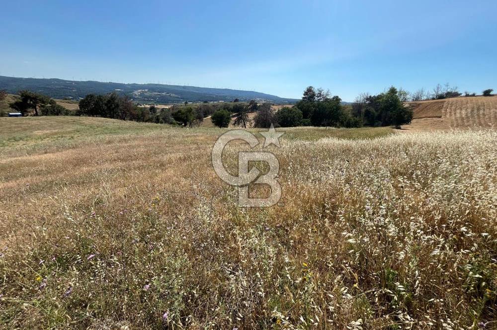 ÇANAKKALE MERKEZ AŞAĞIOKÇULAR'DA SATILIK 7650 M2 MÜSTAKİL ARAZİ