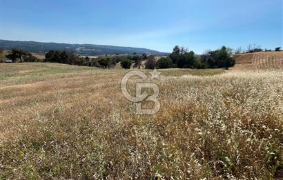 ÇANAKKALE MERKEZ AŞAĞIOKÇULAR'DA SATILIK 7650 M2 MÜSTAKİL ARAZİ
