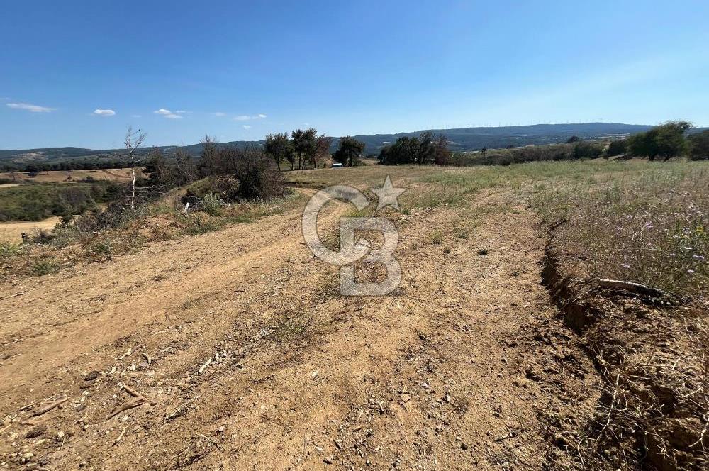 ÇANAKKALE MERKEZ AŞAĞIOKÇULAR'DA SATILIK 7650 M2 MÜSTAKİL ARAZİ