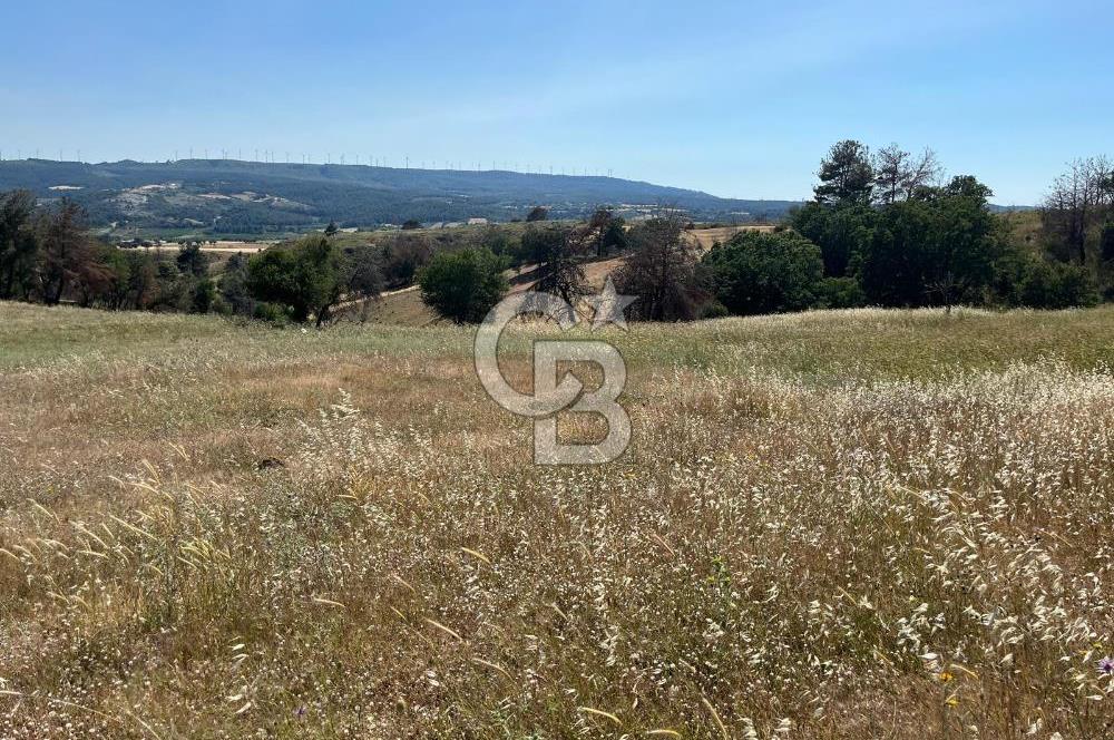 ÇANAKKALE MERKEZ AŞAĞIOKÇULAR'DA SATILIK 7650 M2 MÜSTAKİL ARAZİ