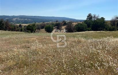 ÇANAKKALE MERKEZ AŞAĞIOKÇULAR'DA SATILIK 7650 M2 MÜSTAKİL ARAZİ