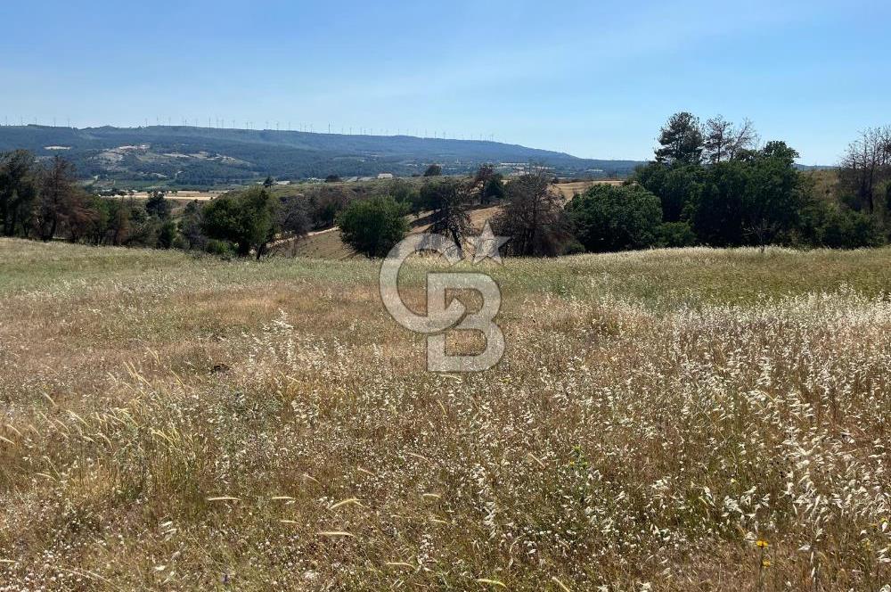 ÇANAKKALE MERKEZ AŞAĞIOKÇULAR'DA SATILIK 7650 M2 MÜSTAKİL ARAZİ
