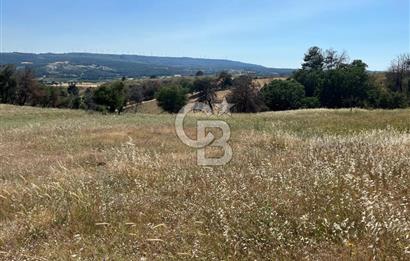 ÇANAKKALE MERKEZ AŞAĞIOKÇULAR'DA SATILIK 7650 M2 MÜSTAKİL ARAZİ