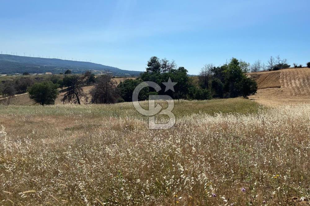 ÇANAKKALE MERKEZ AŞAĞIOKÇULAR'DA SATILIK 7650 M2 MÜSTAKİL ARAZİ