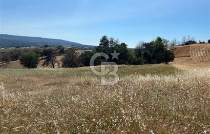 ÇANAKKALE MERKEZ AŞAĞIOKÇULAR'DA SATILIK 7650 M2 MÜSTAKİL ARAZİ