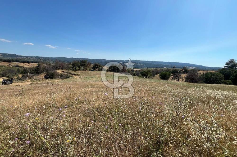 ÇANAKKALE MERKEZ AŞAĞIOKÇULAR'DA SATILIK 7650 M2 MÜSTAKİL ARAZİ