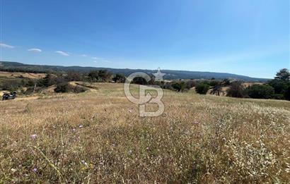 ÇANAKKALE MERKEZ AŞAĞIOKÇULAR'DA SATILIK 7650 M2 MÜSTAKİL ARAZİ