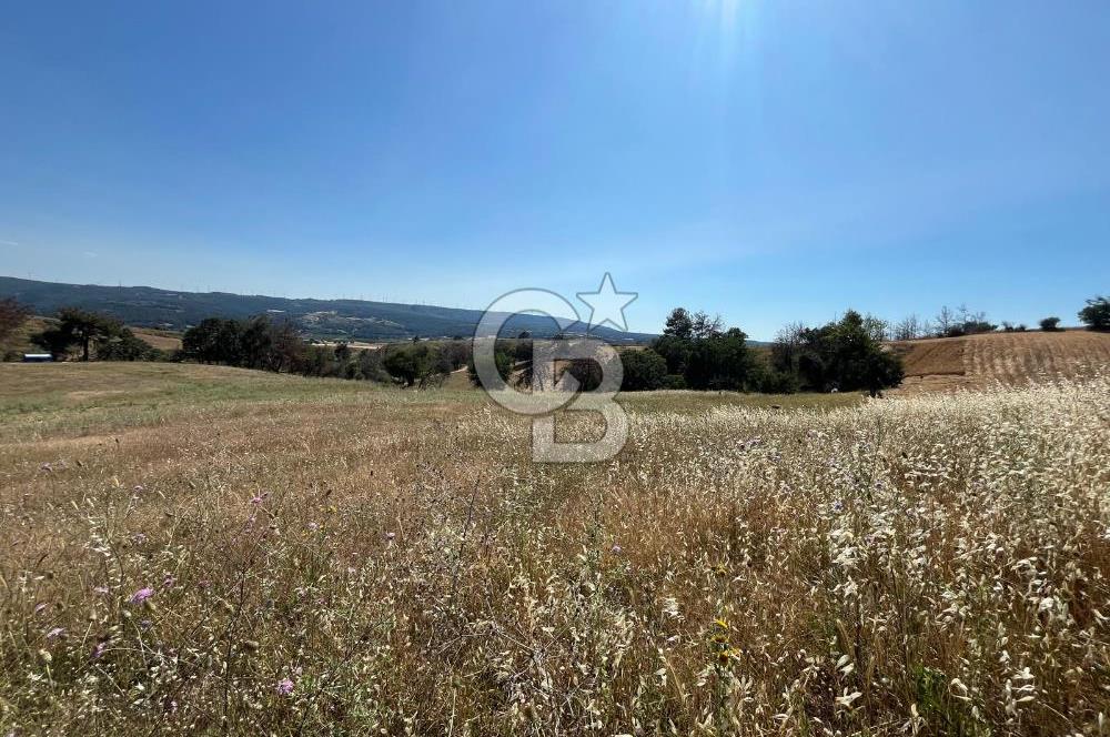 ÇANAKKALE MERKEZ AŞAĞIOKÇULAR'DA SATILIK 7650 M2 MÜSTAKİL ARAZİ