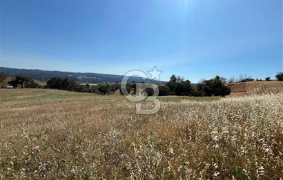 ÇANAKKALE MERKEZ AŞAĞIOKÇULAR'DA SATILIK 7650 M2 MÜSTAKİL ARAZİ