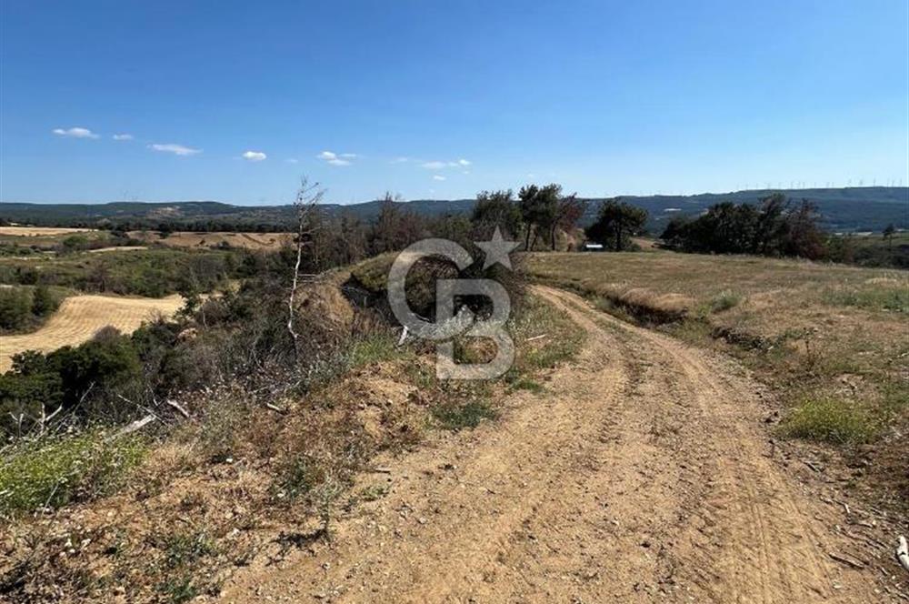 ÇANAKKALE MERKEZ AŞAĞIOKÇULAR'DA SATILIK 7650 M2 MÜSTAKİL ARAZİ