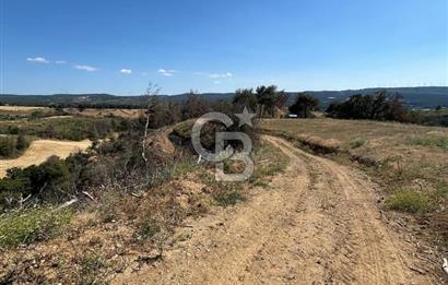 ÇANAKKALE MERKEZ AŞAĞIOKÇULAR'DA SATILIK 7650 M2 MÜSTAKİL ARAZİ