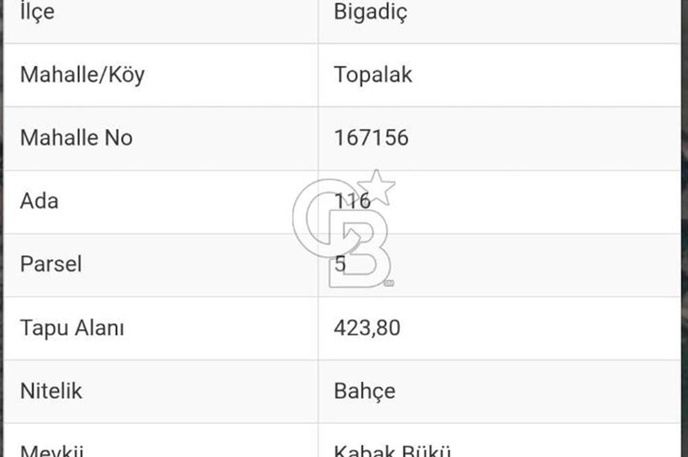 BALIKESİR BİGADİÇ TOPALAK'DA 424 M2 BAHÇE